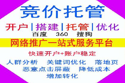 百度SEO优化公司案例：打造品牌网络曝光新高度